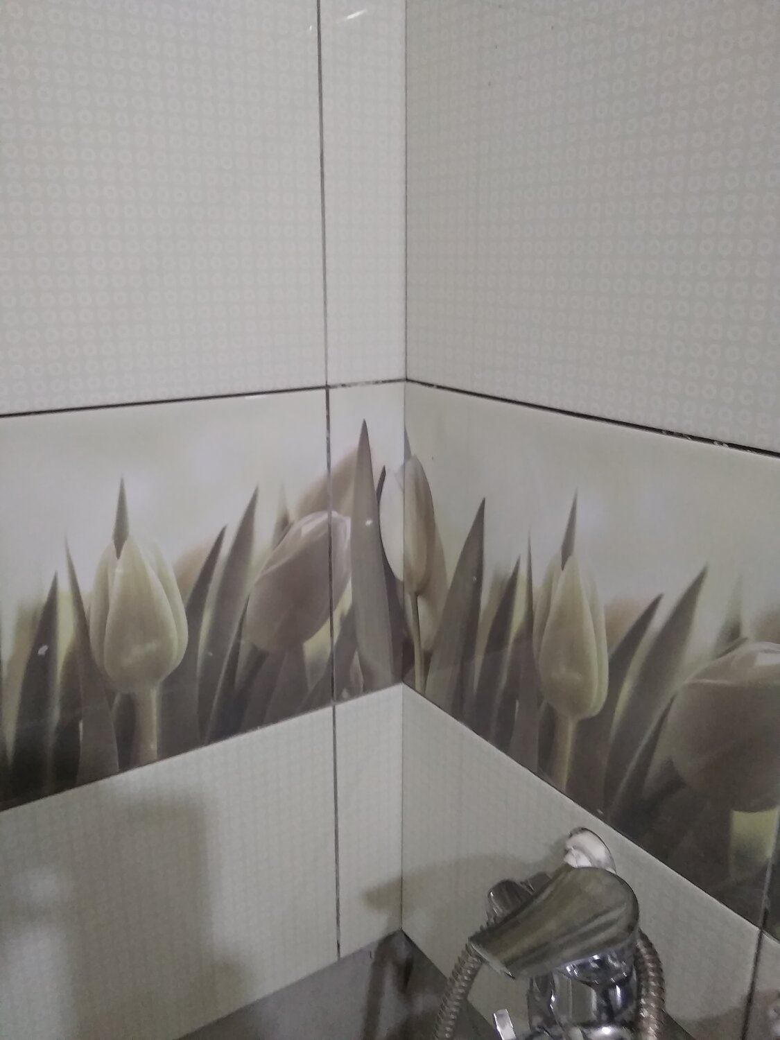 плитка зебрано голден тайл, плитка керамическая концепт керамин, керамическая плитка, зебрано плитка для ванной, плитка с тюльпанами для кухни