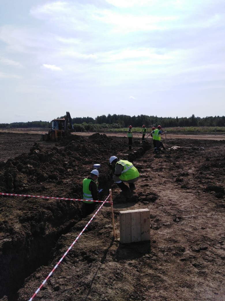 пмк мелиорация, посадка леса, лесовосстановление в россии, лесовосстановление, геодезическая разбивка нефтепровода