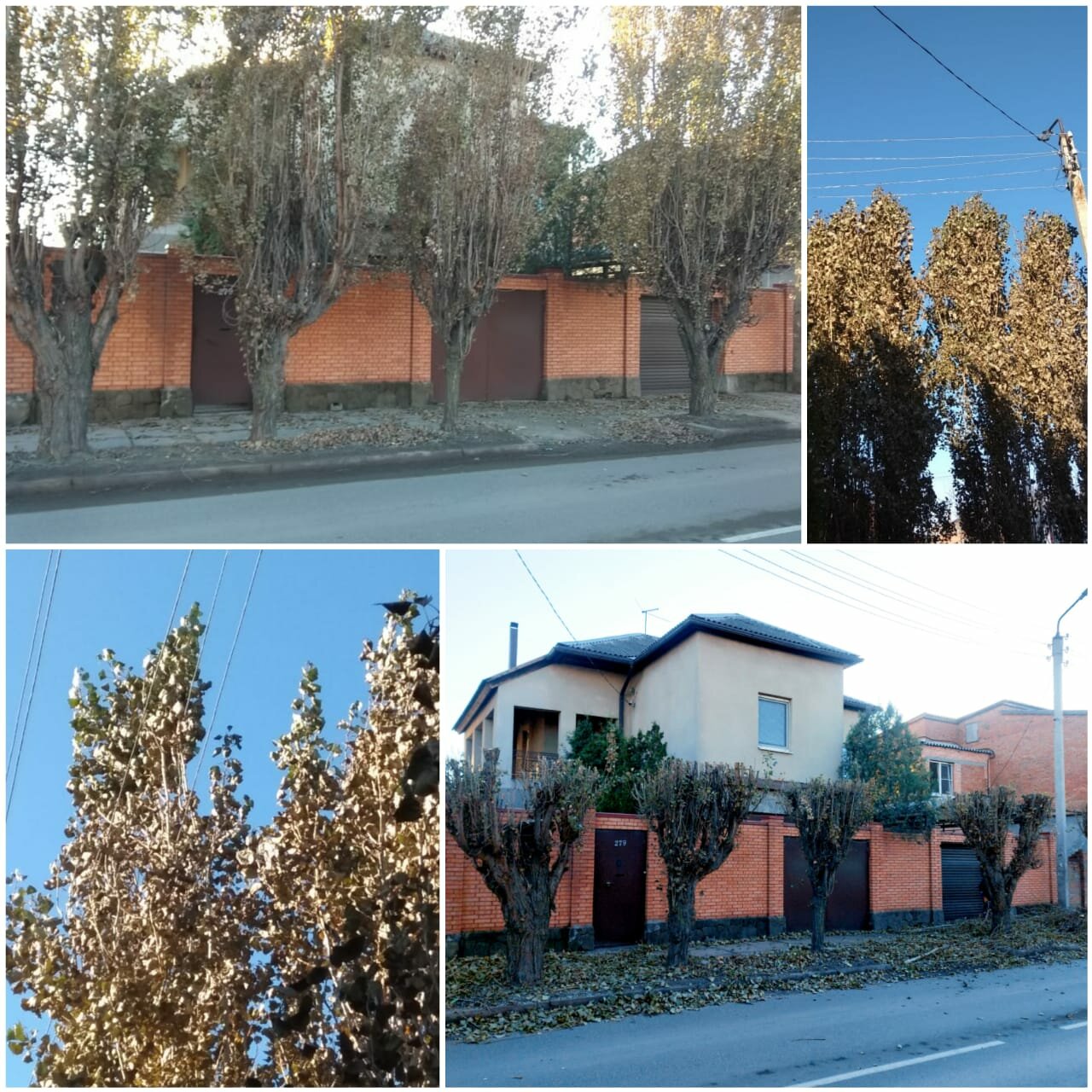 участок, дом, в деревне, здание, улица