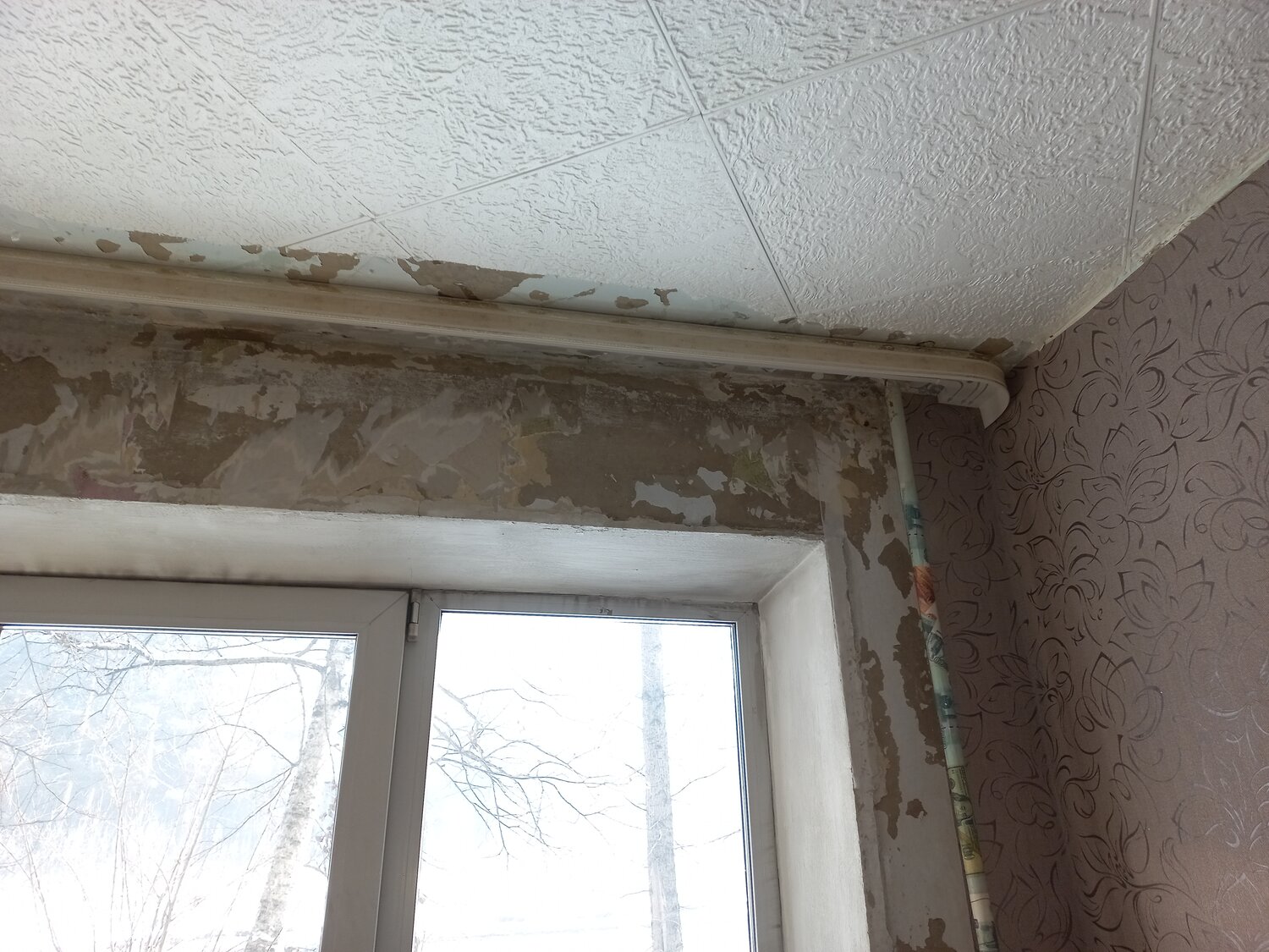 Евгений К. - Ремонт и строительство, Ремонт квартир и домов ...