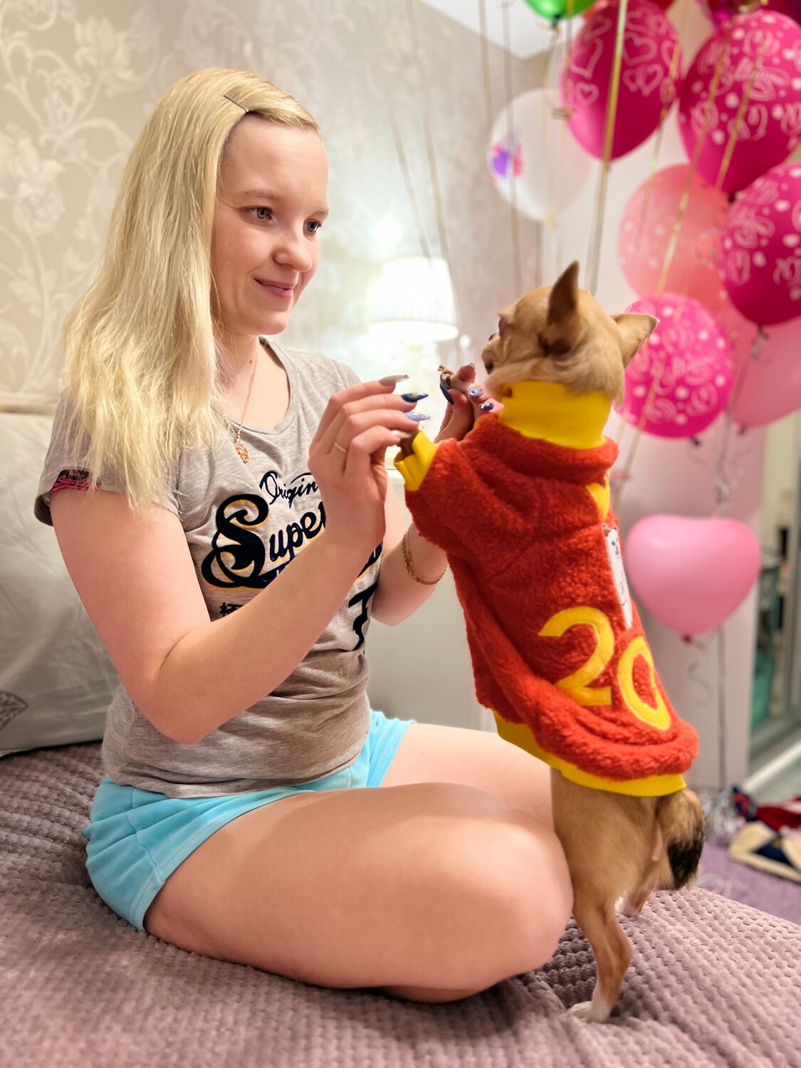 щенок чихуахуа, чихуахуа порода, чихуахуа, чихуахуа собака, смешные чихуахуа