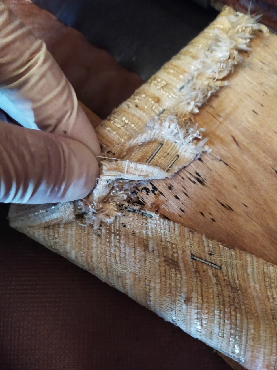 поделки из бересты, береста, древесина, дерево, шпон из бересты