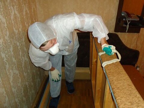 дезинфекция от клопов, обработка от клопов, уничтожение клопов, дезинфекция дома от клопов, дезинфекция помещений
