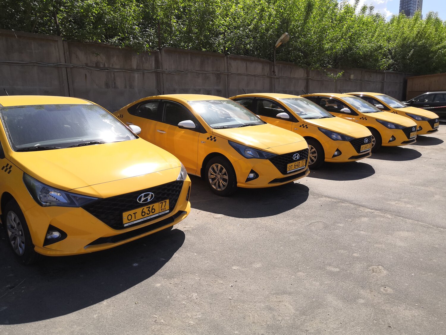 аренда авто, такси в москве, желтый автомобиль, такси, hyundai solaris taksi
