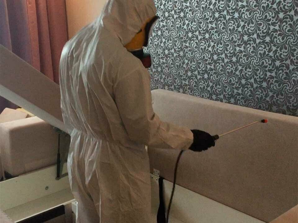 дезинфекция дезинсекция дератизация, дезинсекция, дезинфекция, дезинфекция от клопов moseco-center, дезинсекция и дезакаризация