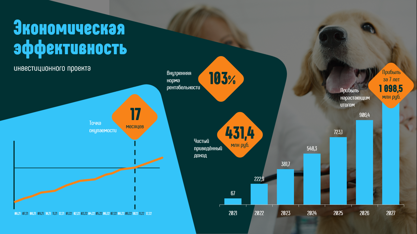 собачки милые, домашние питомцы, собачки, домашние животные, собака животное