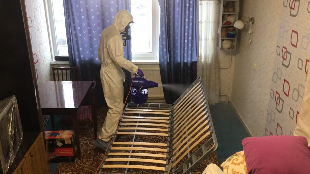 уничтожение клопов, дезинсекция, дезинсекция клопов, дезинсекция клопов туманом, дезинфекция от клопов в квартире