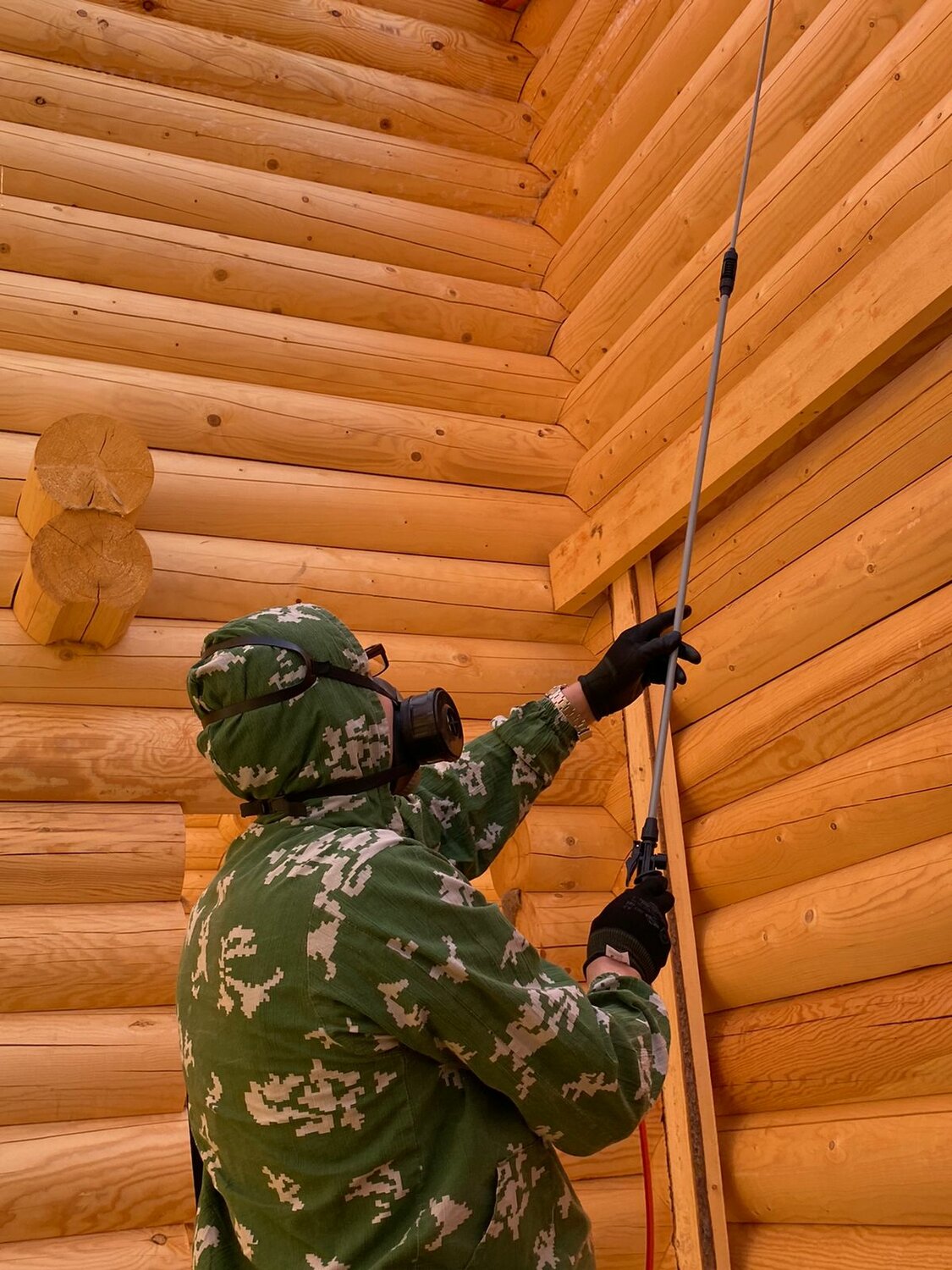 покраска сруба, шлифовка сруба, покраска деревянного сруба, шлифованный сруб, покраска дома из бревна
