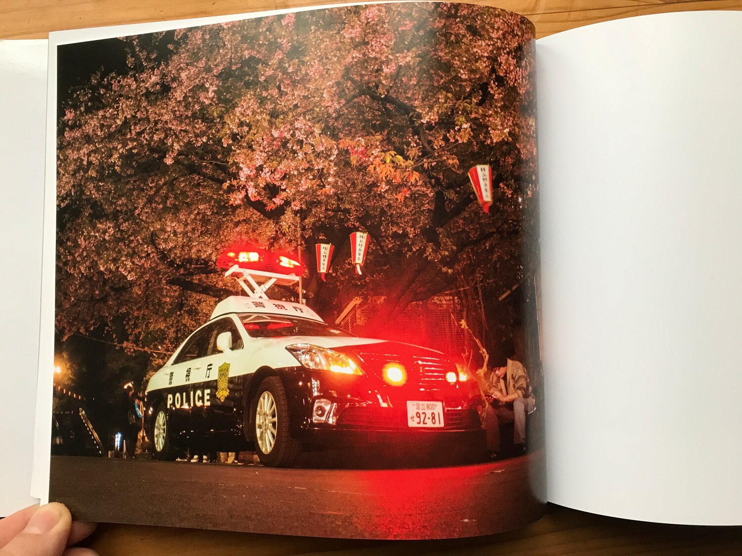 сакура полиция, автомобиль, техника, картины по номерам авто, авто