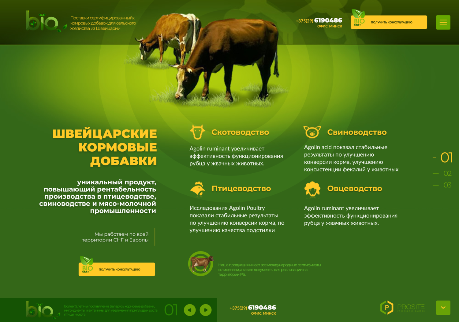 корова, молочный скот, животноводство, крупный рогатый скот, животное