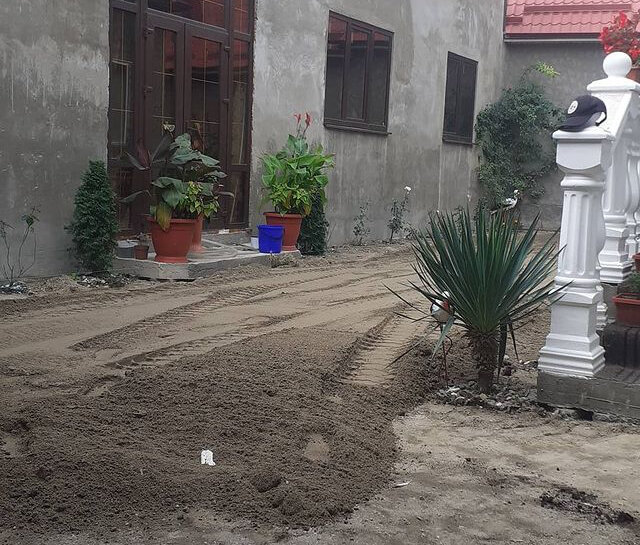 юкка сизая садовая, юкка сизая, пальма юкка адлер, юкка нитчатая в ландшафте, юкка aloifolia