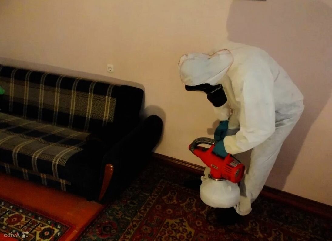 дезинсекция в доме, дезинсекция, комната, уничтожение клопов, дезинфекция дезинсекция дератизация