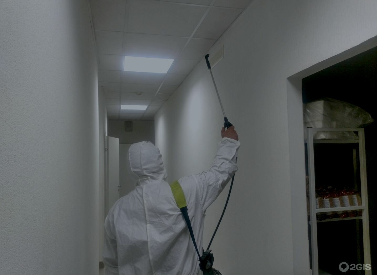 дезинсекция и дезакаризация, дезинсекция, дезинфекция, очаговая дезинфекция, дезинфекция подъездов