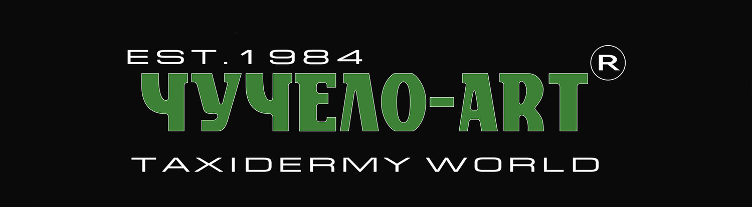 логотип, nvidia geforce gtx, дизайн, limits лого, nvidia geforce