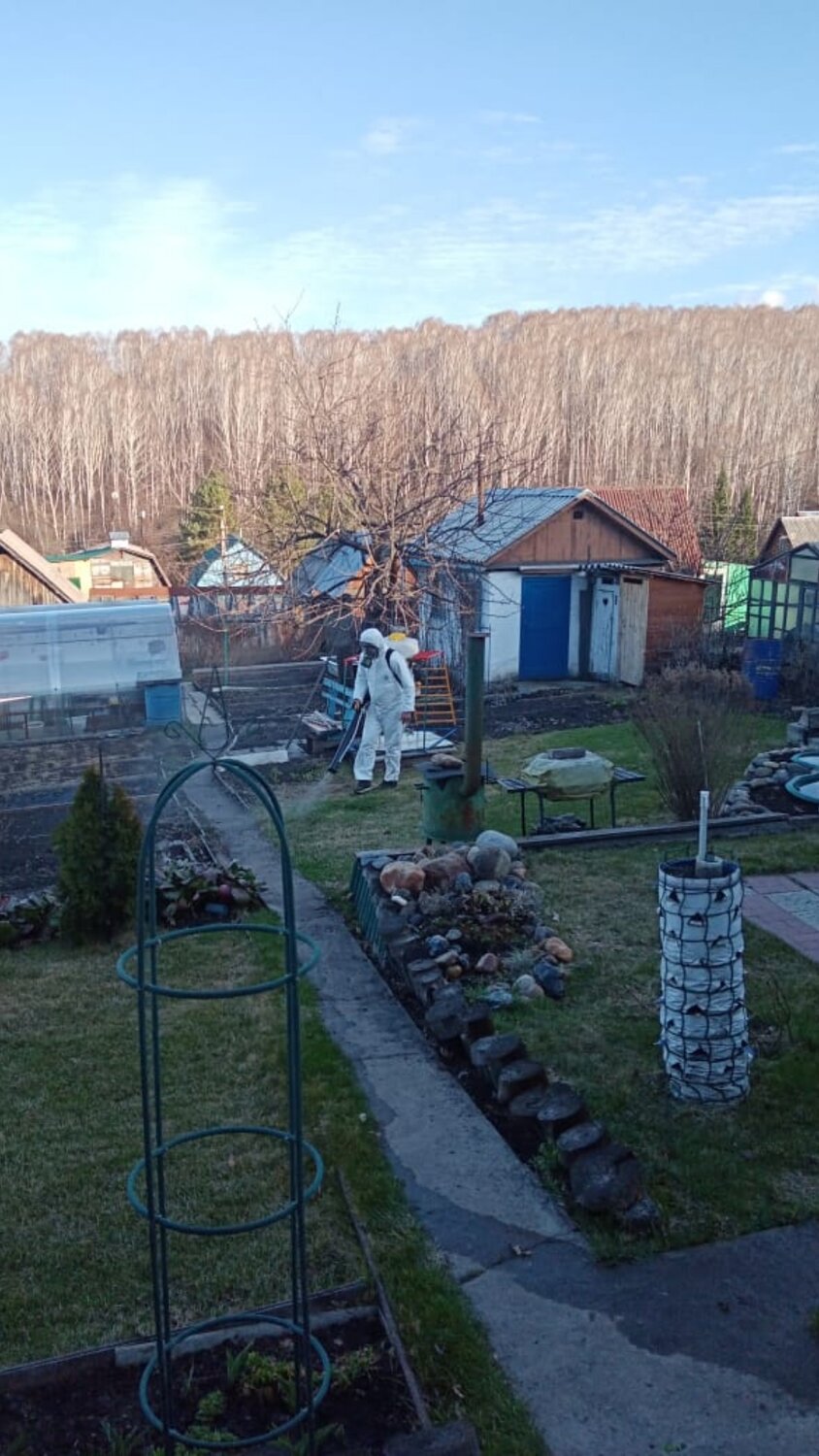 дача, дачный участок, участок, дом в деревне, дом на участке