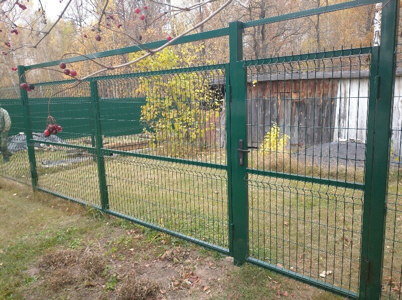 заборы для дачи сетка гиттер, заросший забор гиттер, забор из сварной сетки 3d гиттер стил эконом, забор из рабицы, ограждение для сада из 3д сетки