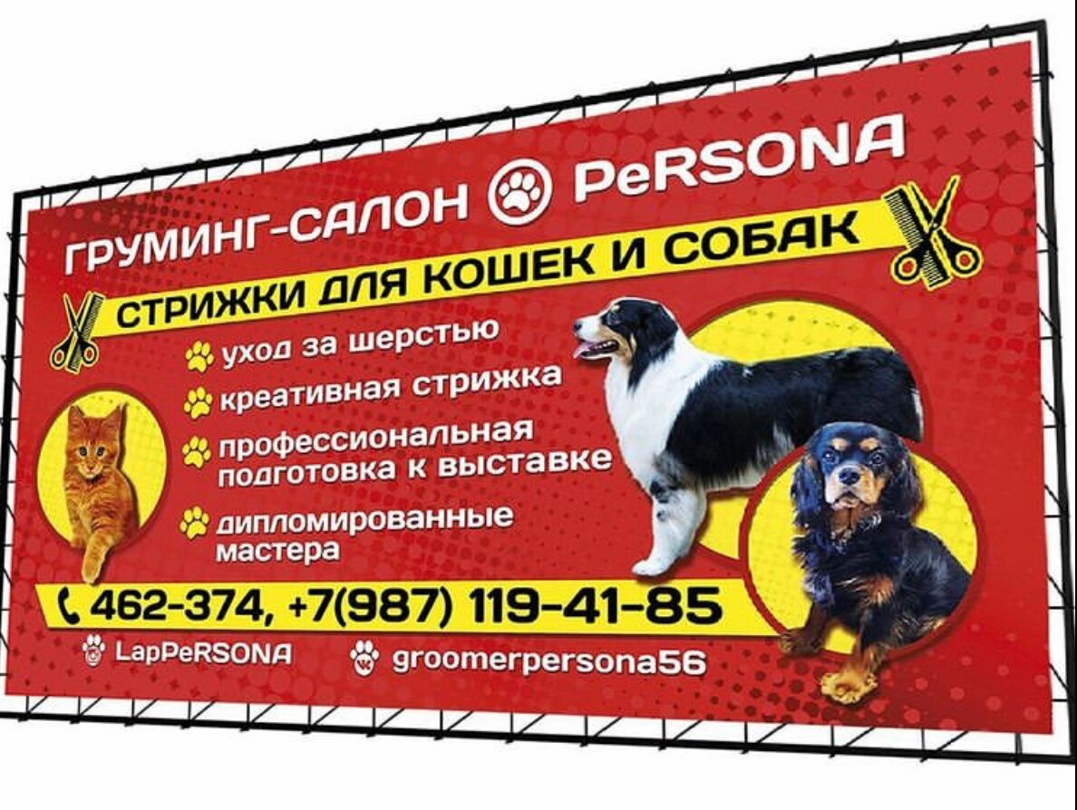 груминг салон, груминг салон # lappersona_56, дизайн баннеров, стрижка собак и кошек, панда груминг салон