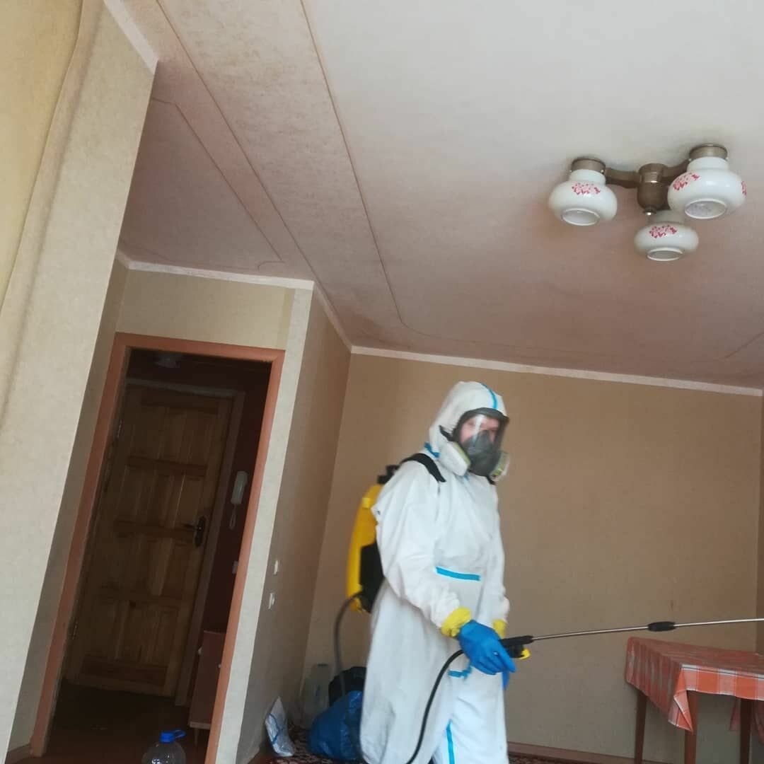 дезинсекция, дезинфекция, дезинфекция помещений, дезинфекция дезинсекция дератизация, дезинсекция клопов туманом