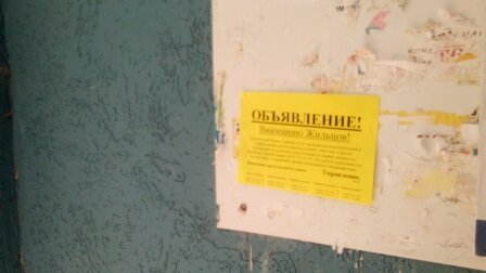 объявление на двери подъезда, объявление борделя в газете, прикольные надписи в подъездах, уборка подъездов, наклейки в подъезде