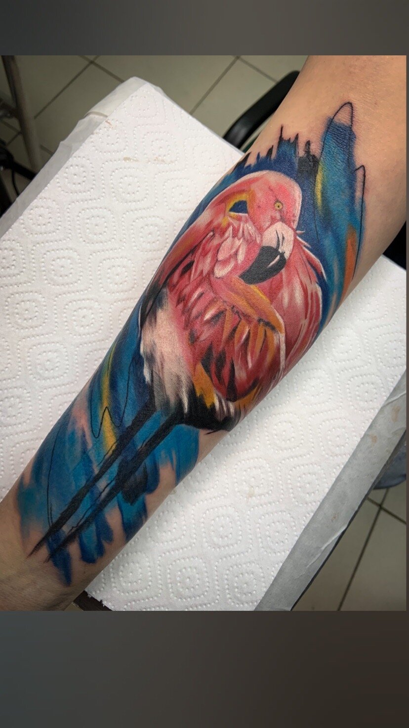 татуировка, tattoo, тату дизайн, татуировки животные, татуировка америка