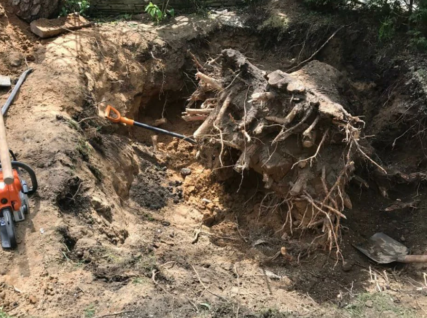 захоронения раскопки второй мировой войны, раскопки, раскопки в новгородской области, останки, находки металлолома в лесу