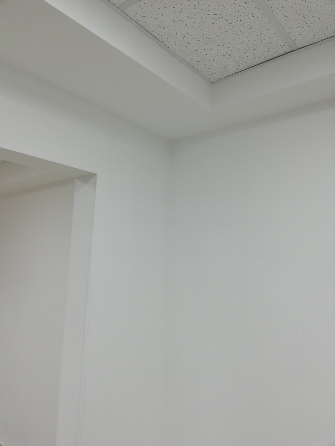 потолок, краска benjamin moore cream, светло серая краска для потолка, белый крашенный потолок без плинтуса, декоративная вставка