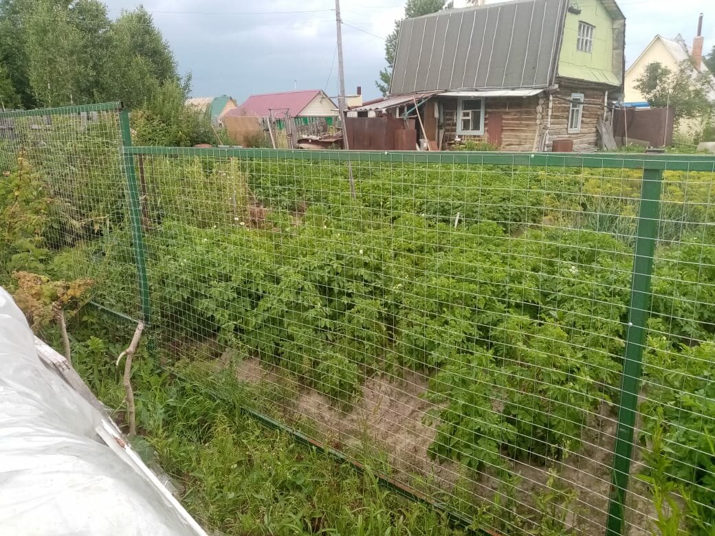 забор из сетки рабицы, рабица забор, забор из рабицы, забор из метровой сетки рабицы, забор из сетки рабица