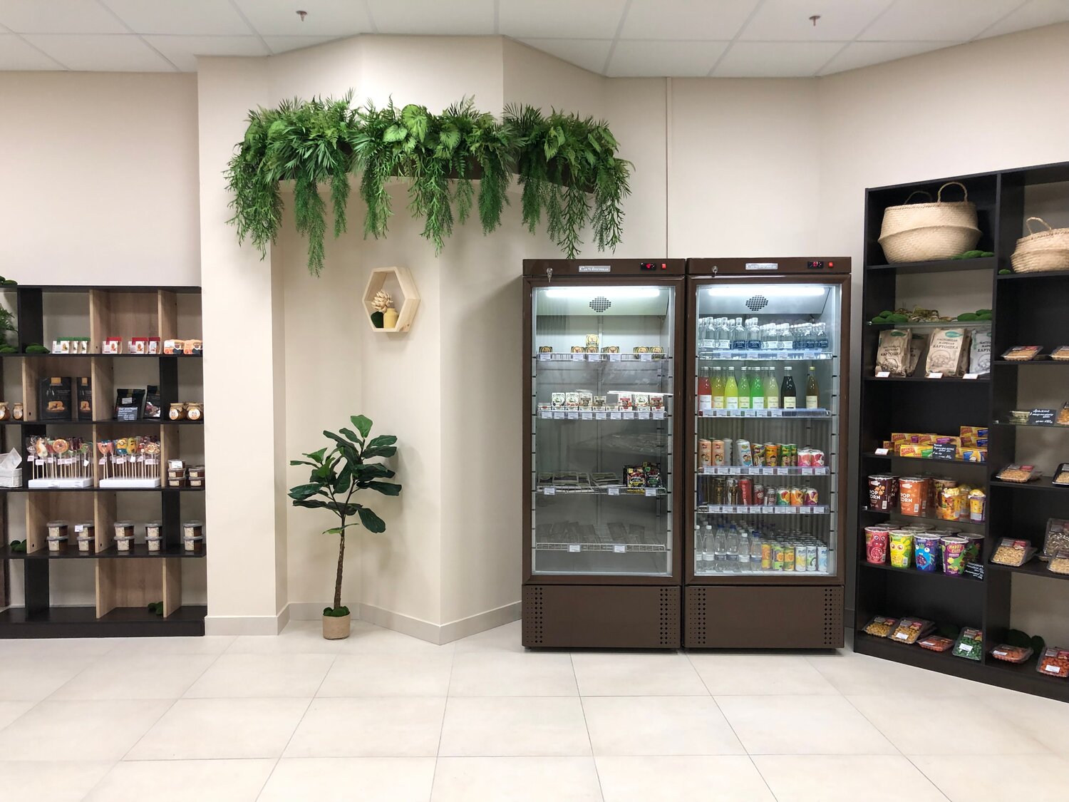 торговое, домашнее растение, shop, бизнес, табачная лавка