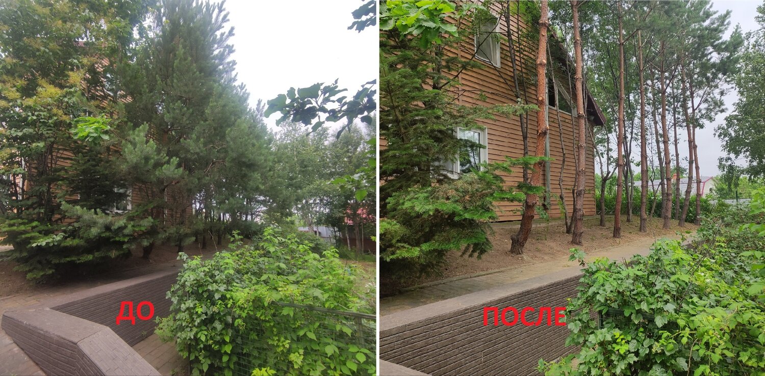 интерьер, коттедж, дачные поселки, дома коттеджи, дача коттедж