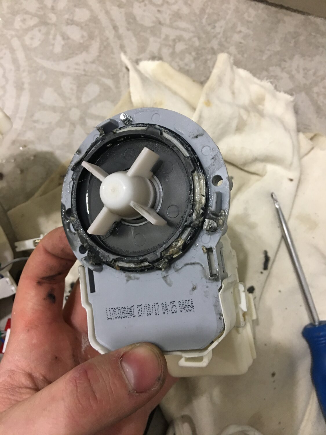 сливной насос askoll 40w, сливной насос, насос для стиральной машины samsung p1453, насос (помпа) askoll 40w m231 для стиральной машины, askoll s3032 dc31-00181a
