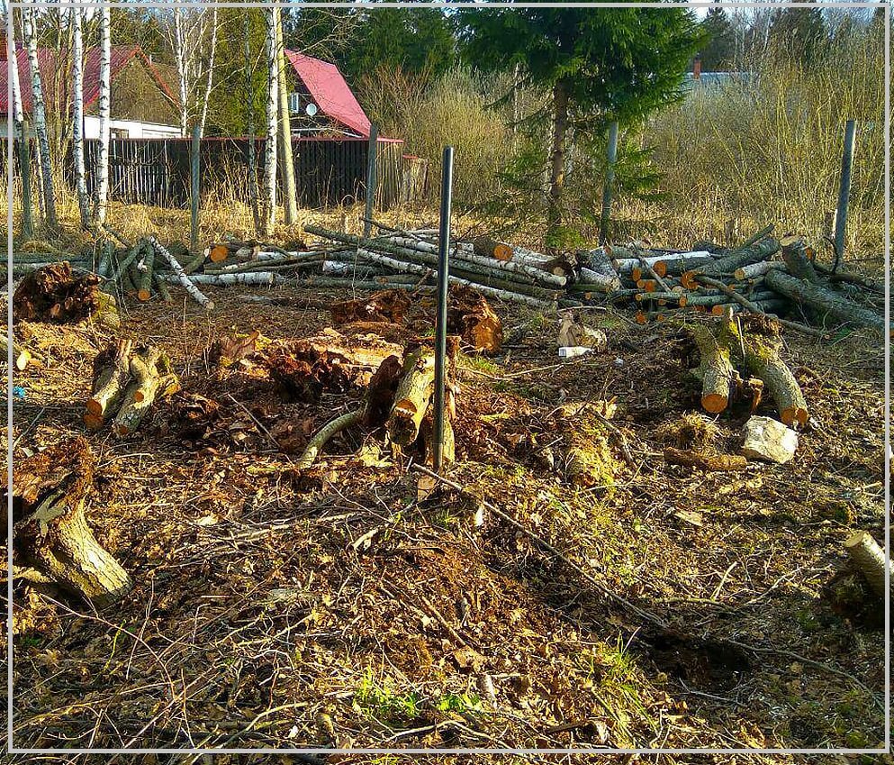 природа, природа в опасности вырубка лес, рубка леса, вырубка лесов последствия, лес в районе лаос в экологической войне