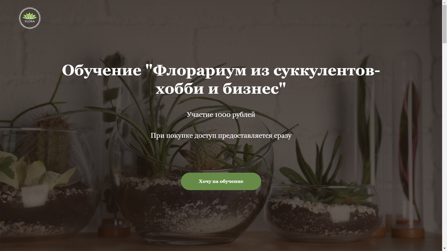 флорариум на подоконнике, флорариум, суккуленты, растение, фитофлорариум суккуленты