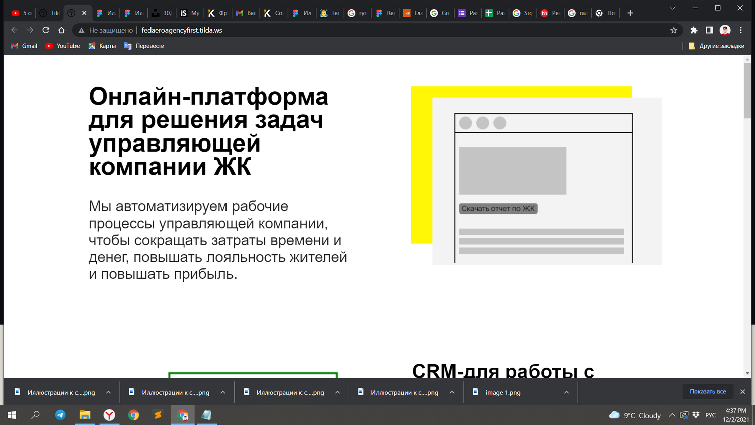 экран с текстом, пароль, информационные системы, построение преднастроенных отчетов, ошибка