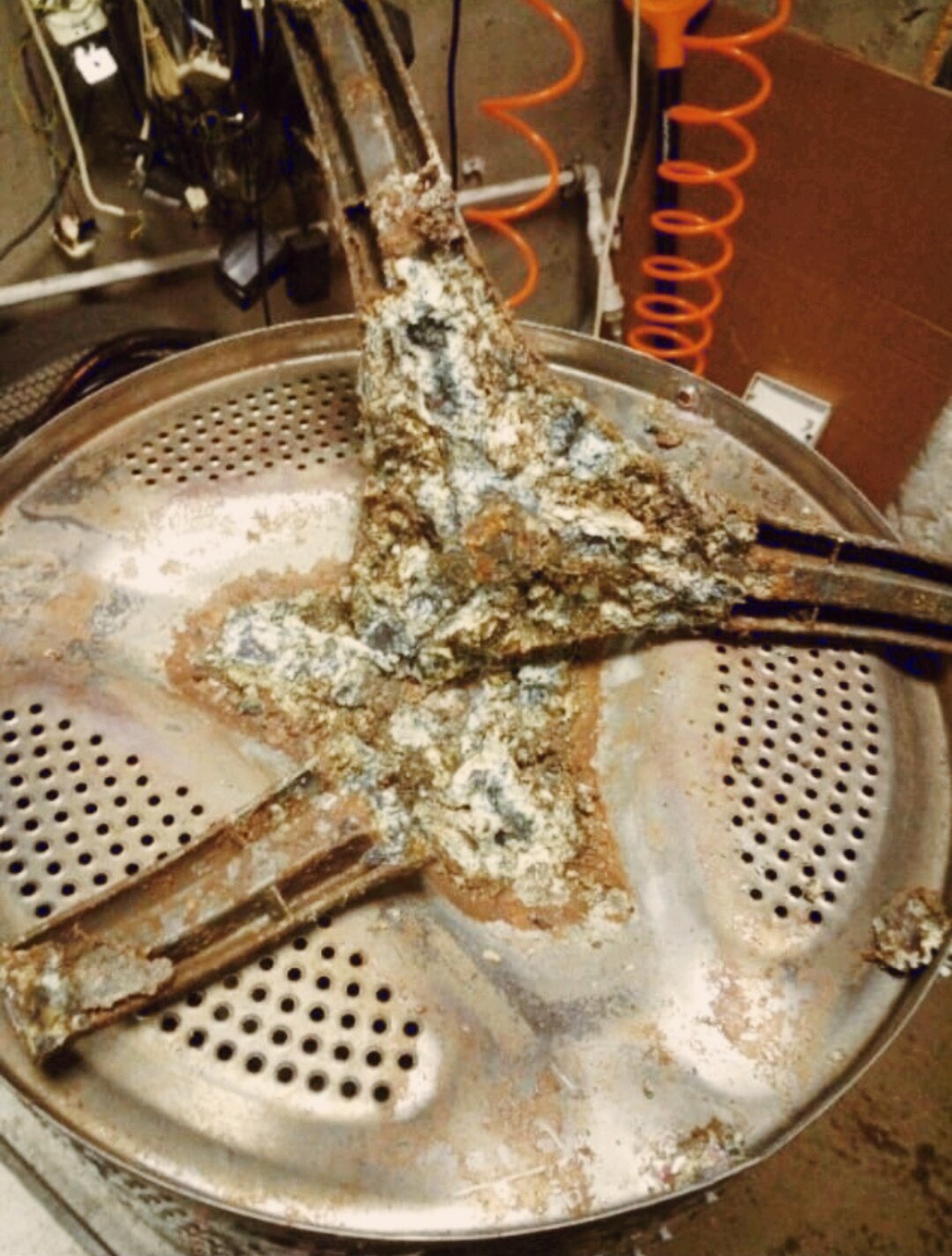 барабан стиральной машины, стиральная машина, накипь в стиральной машине, бак стиральной машины, накипь на крестовине стиральной машины