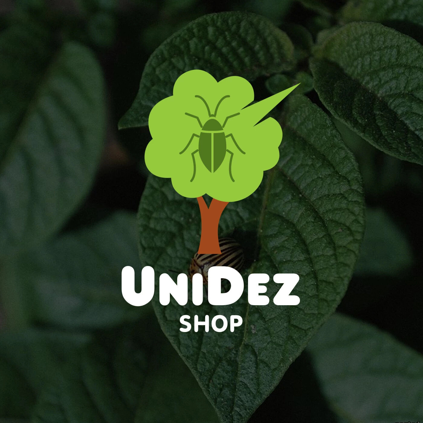shop, orange shop, shop logo, логотип, shopee