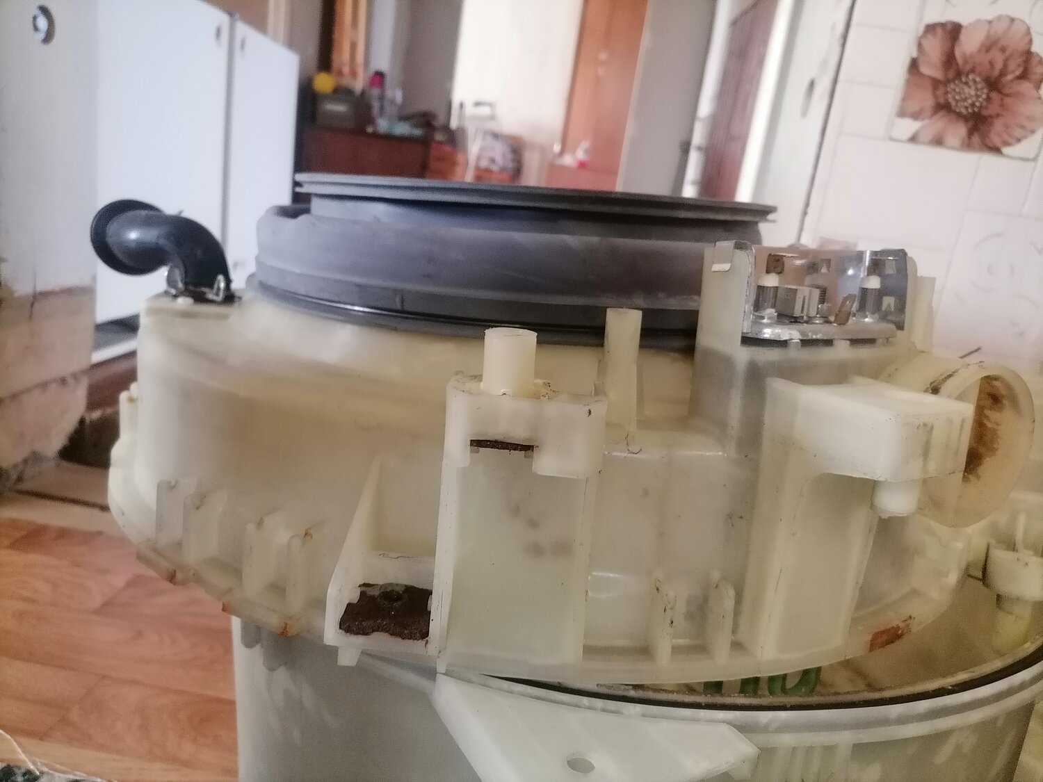 бак стиральной машины, разобранная стиральная машина, стиральная машина ремонт, стиральная машина, устройство бака стиральной машины