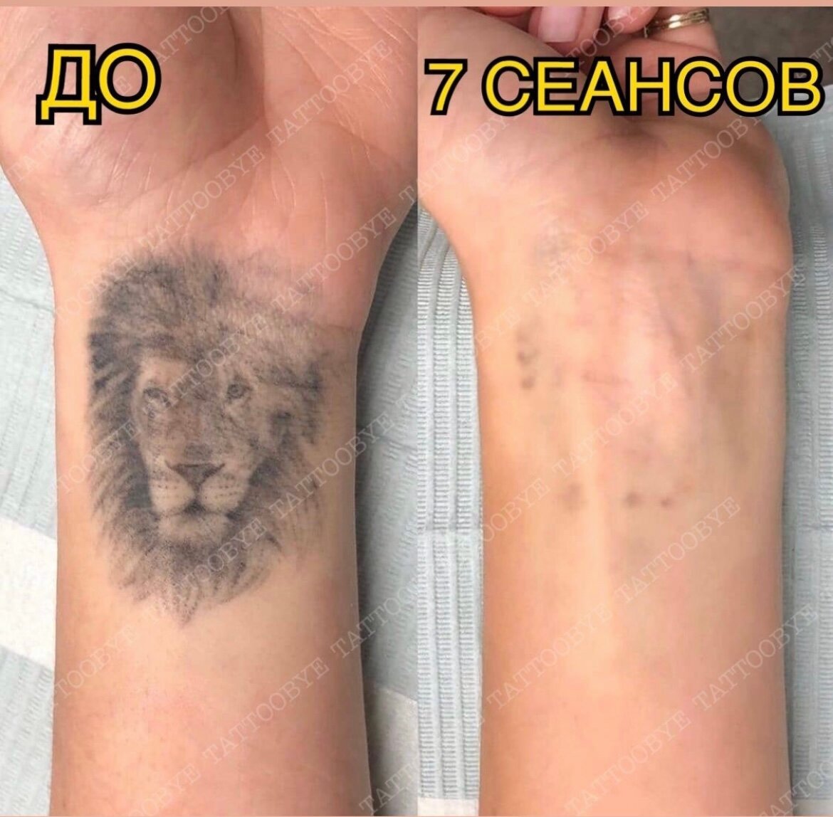 тату лев маленький, тату лев, тату львица на предплечье мужские, тату лев на икре, татуировки модные