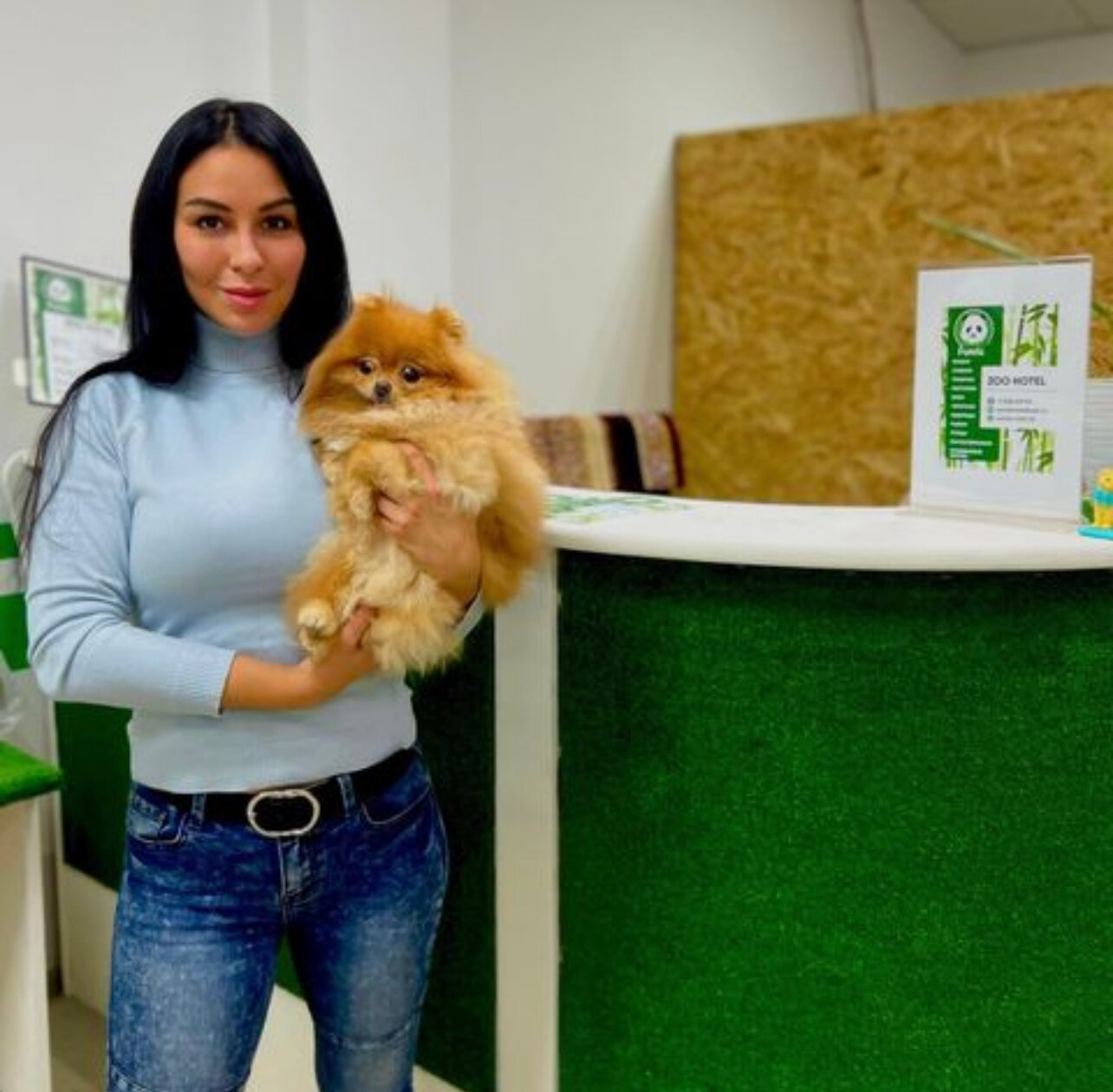 девушка, ветеринар, питомцы, грумер, зоосалон