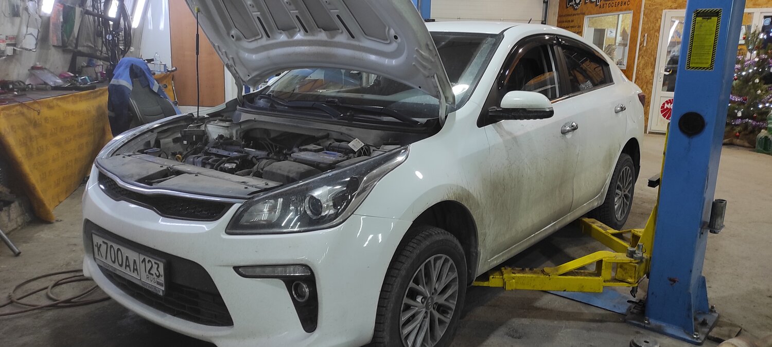 kia rio, kia rio iv, kia motors, киа рио эко, автомобиль kia