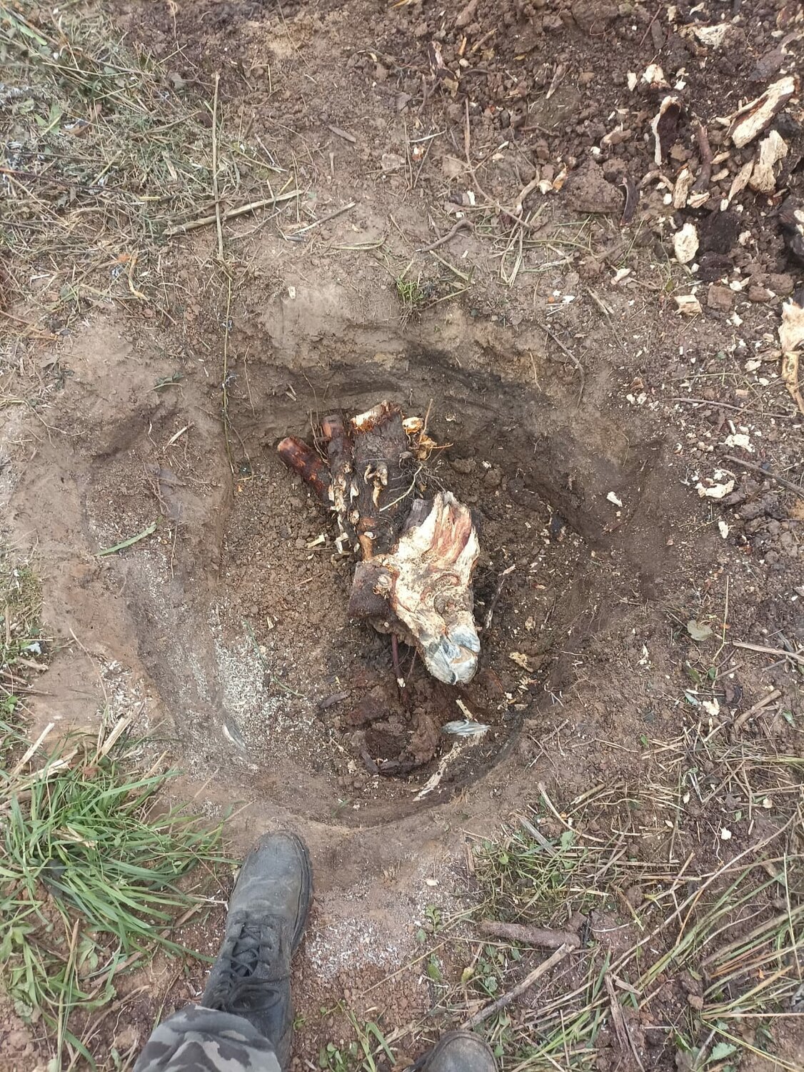 корчевка пней, корчевание пней, корчевание, корчевка, посадочная яма