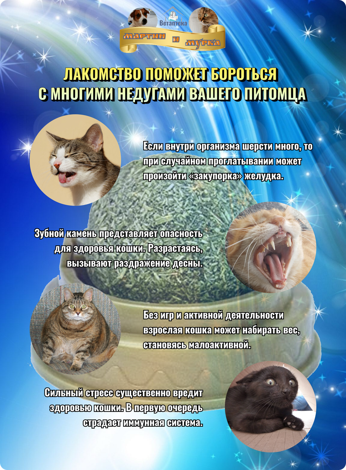 мята для кошек, феромоны для кошек, кошачья мята шарик, кошачья мята, кошечка