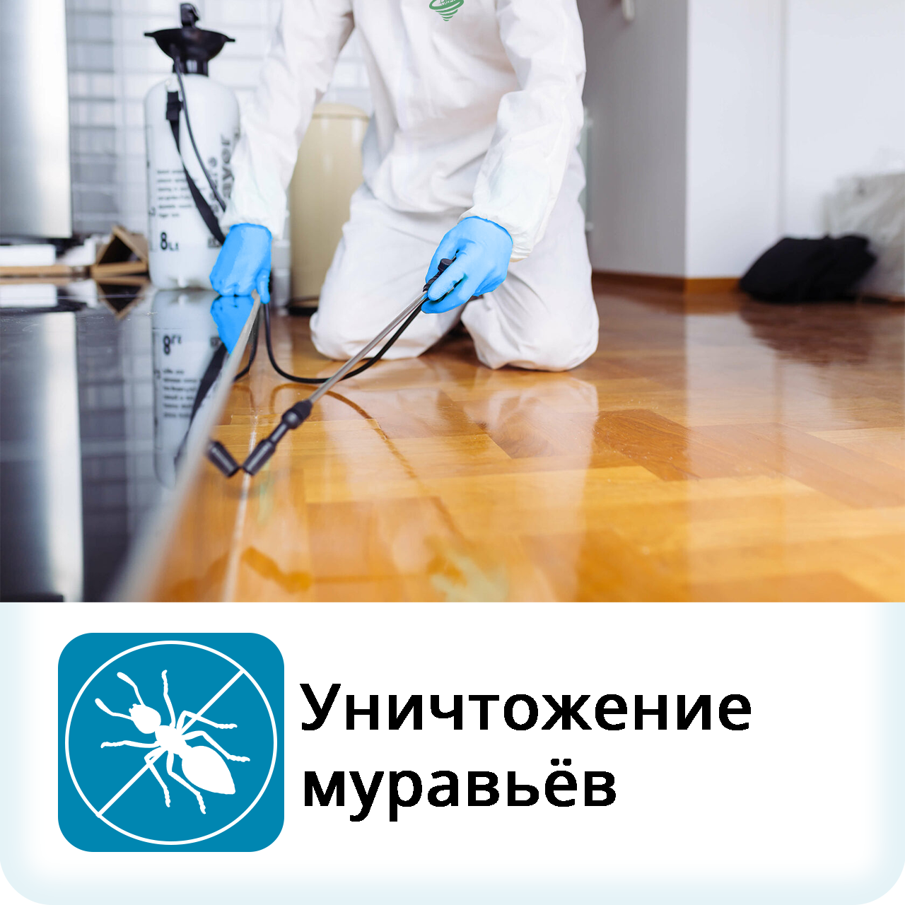дезинфекция, уничтожение клопов, дезинсекция, дезинфекция дезинсекция дератизация, уничтожение тараканов