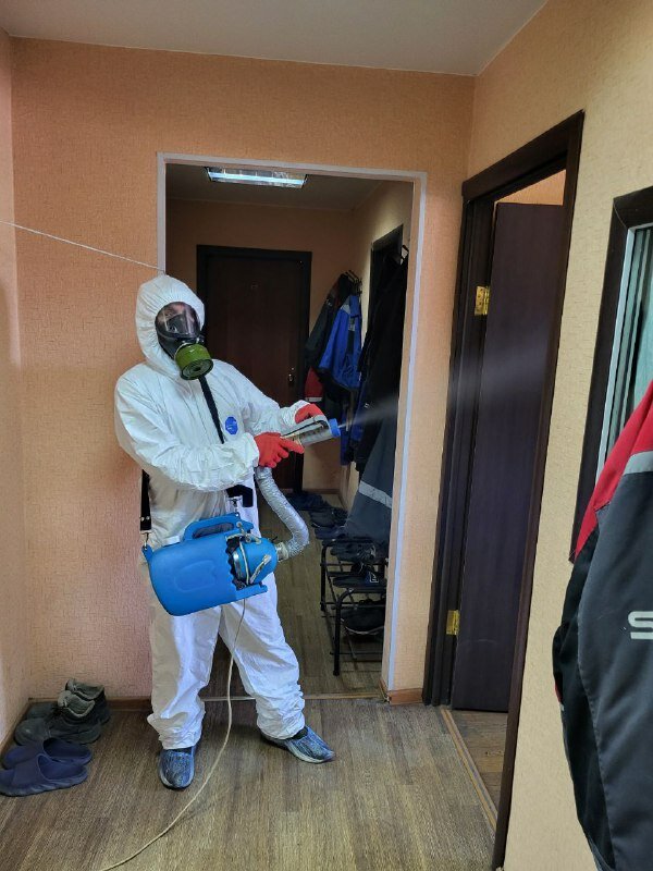 дезинфекция, дезинсекция, дезинфекция дезинсекция дератизация, дезинфекция и дезинсекция, дезинфектор