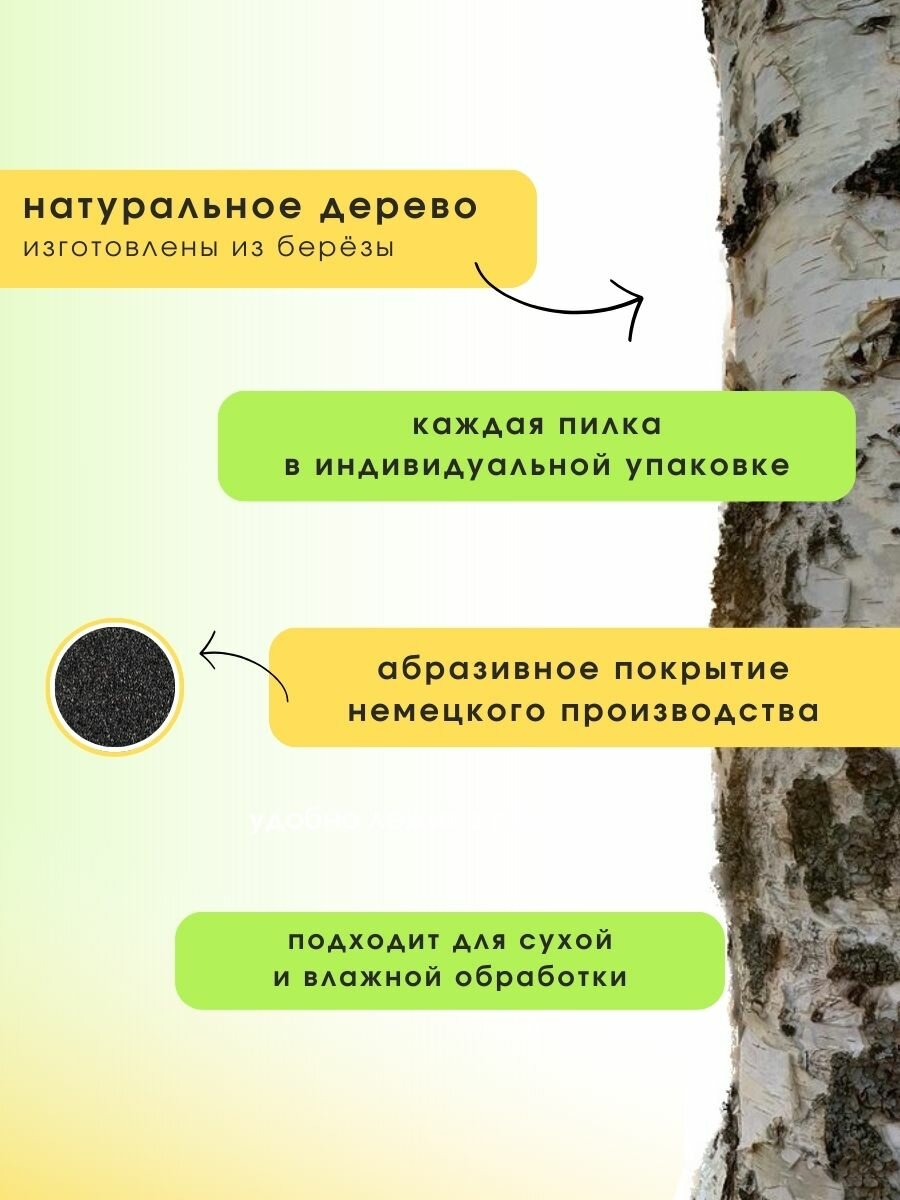 береза дерево, кора березы, береза, ствол березы, чёрная берёза