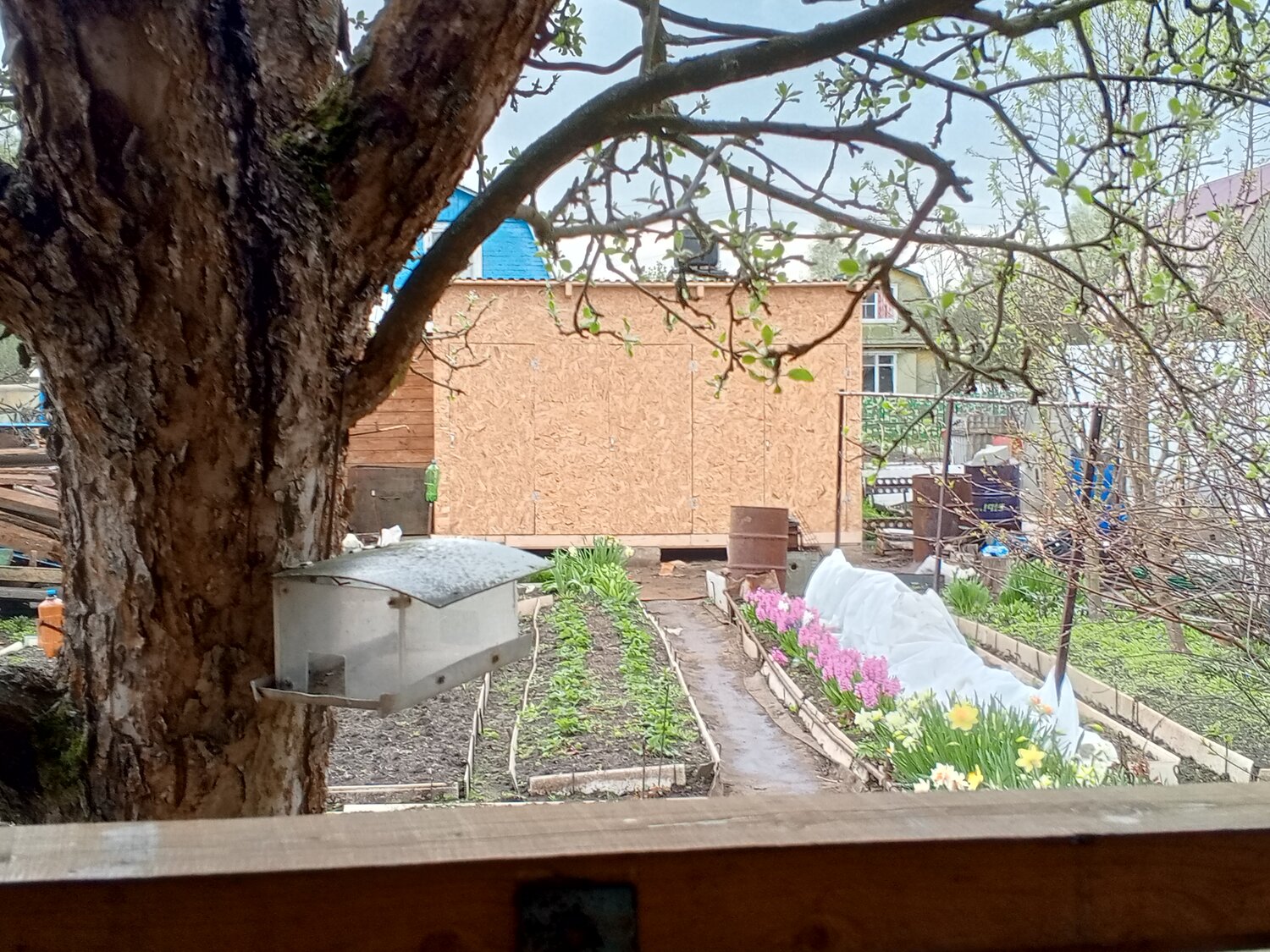дом, дворик, дом дача, уютный дом, дачный дом