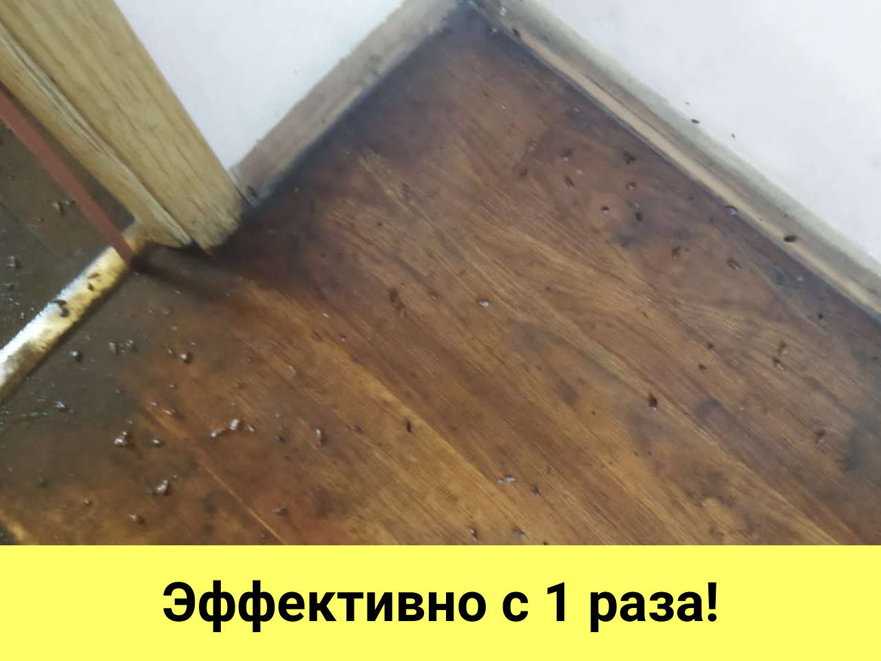 покрытие пола, деревянный пол, паркет пол, доска пола, паркетная доска