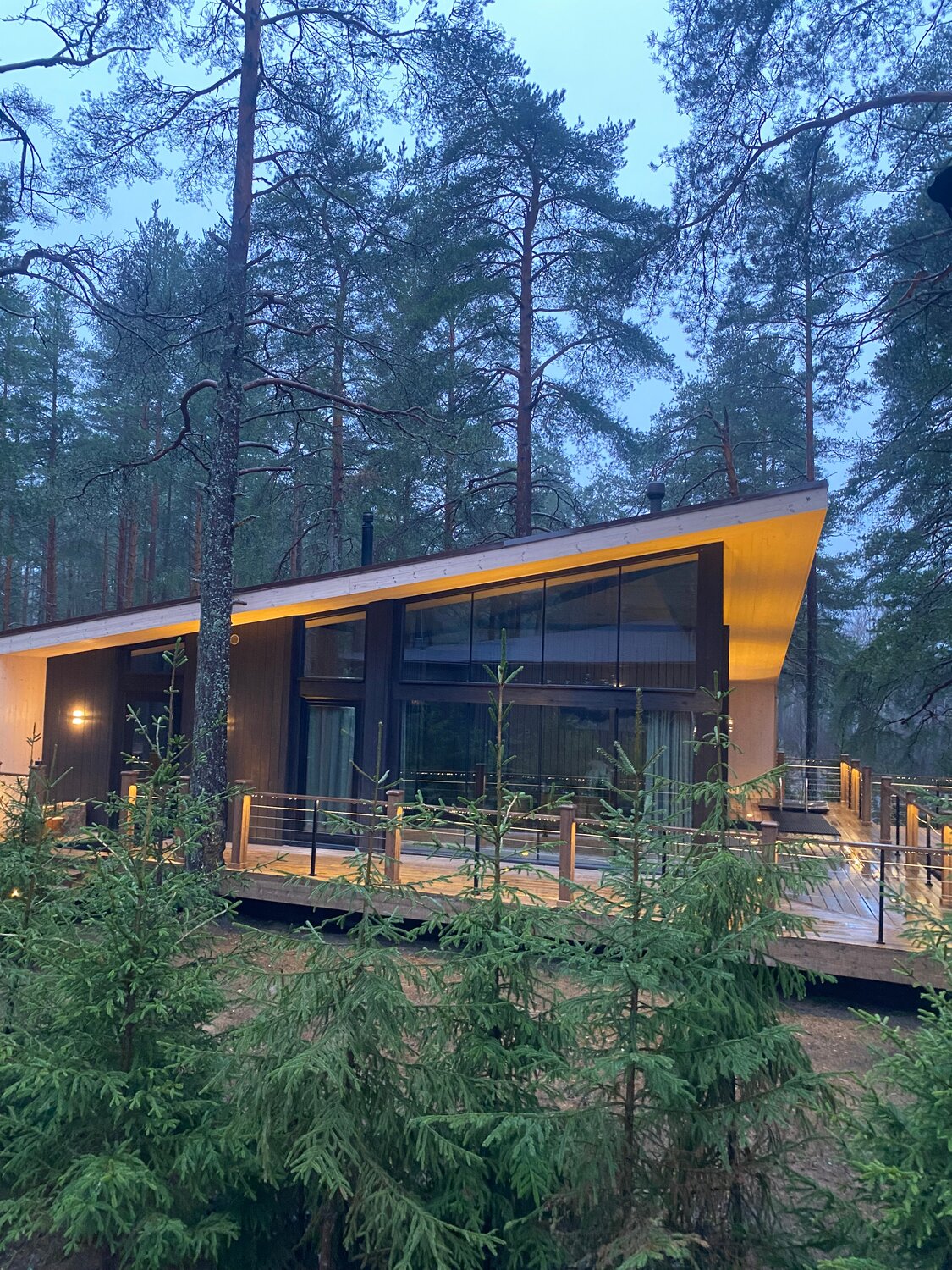 панорамный дом в лесу, панорамный домик в лесу, современные дома в лесу, дубльдом терраса, загородные дома в лесу