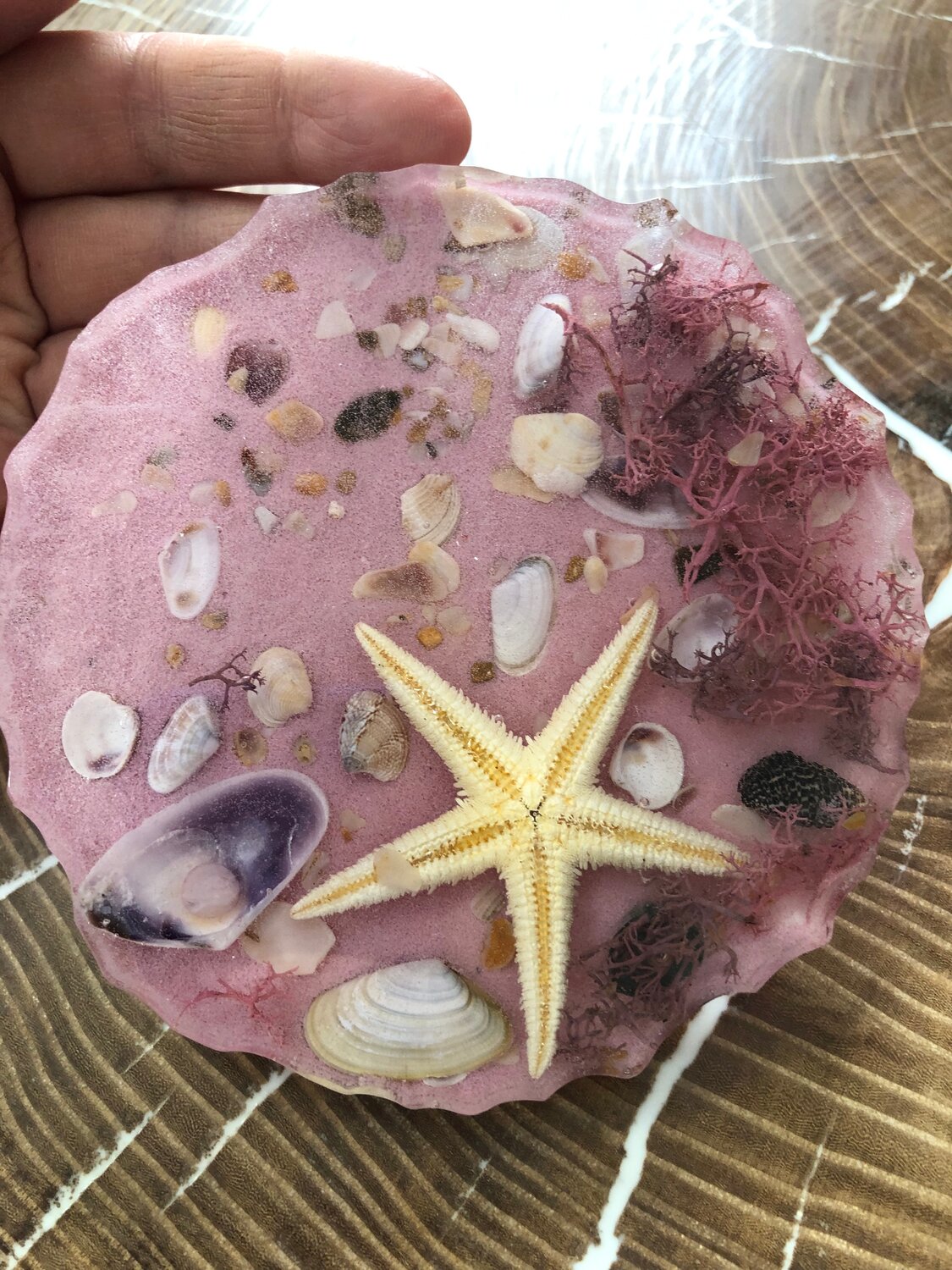 ракушки морские, декор морскими ракушками, ракушки море, морская раковина, ракушка