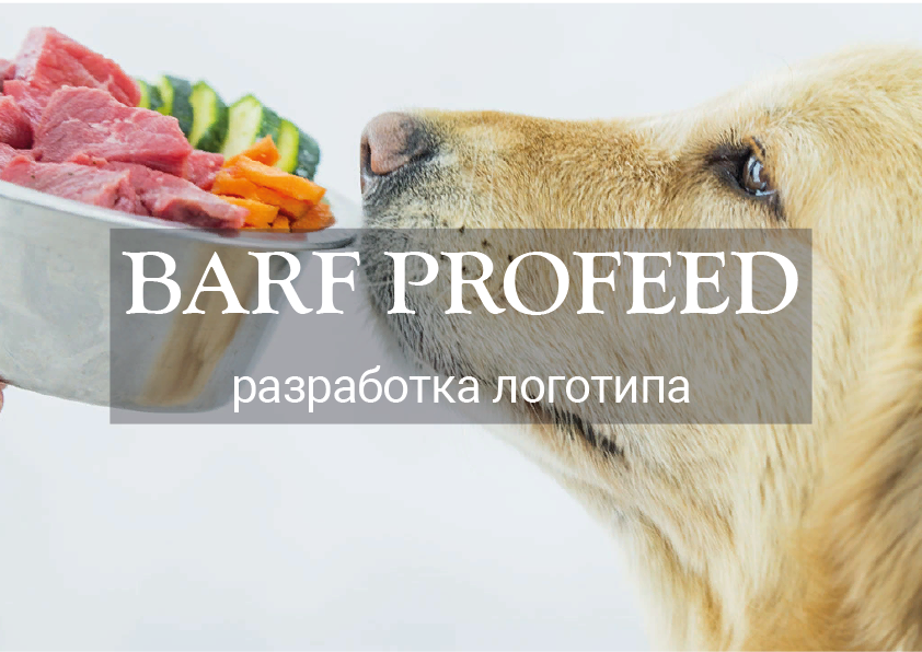 dog, питание собак, еда для собаки, рацион собаки, собака мойка пдф