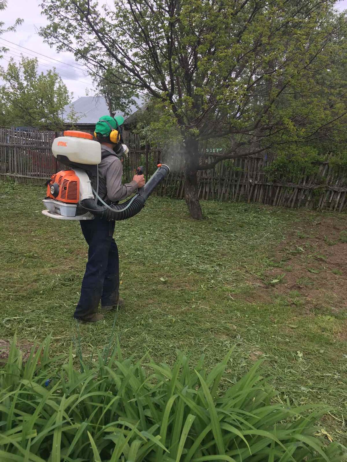 опрыскиватель stihl sr 200, бензиновый опрыскиватель stihl sr 430, бензиновый опрыскиватель для сада, опрыскивание деревьев, опрыскиватель садовый